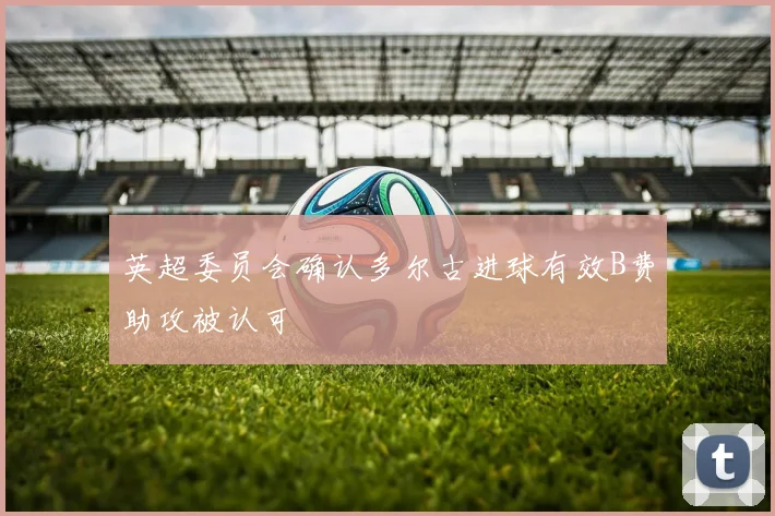 英超委员会确认多尔古进球有效B费助攻被认可